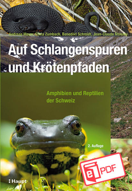 Bild zu Auf Schlangenspuren und Krötenpfaden (eBook) von Meyer, Andreas 