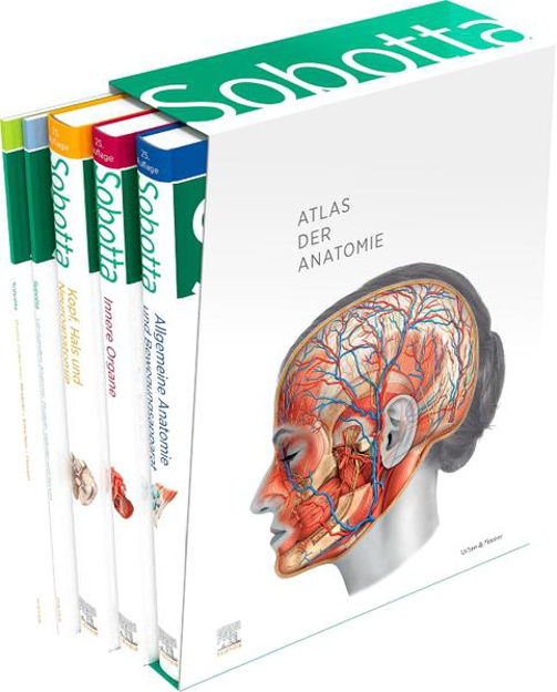Bild zu Sobotta Atlas der Anatomie, 3 Bände + Lerntabellen + Poster Collection im Schuber und 6-monatiger Zugang zur Complete Anatomy-App von Waschke, Jens (Hrsg.) 