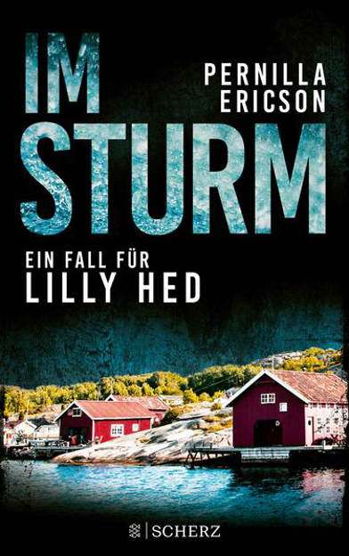 Bild zu Im Sturm (eBook) von Ericson, Pernilla 