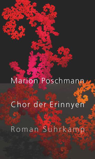 Bild zu Chor der Erinnyen von Poschmann, Marion