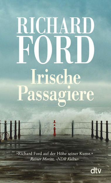 Bild zu Irische Passagiere von Ford, Richard 