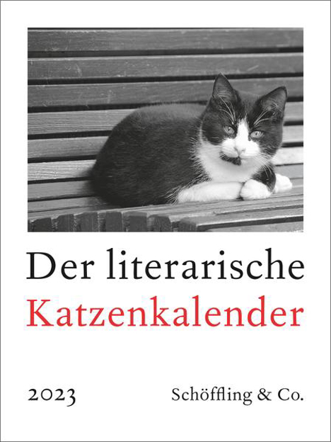 Bild zu Der literarische Katzenkalender 2023 von Bachstein, Julia (Hrsg.)