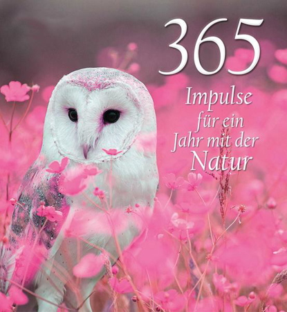 Bild zu 365 Impulse für ein Jahr mit der Natur