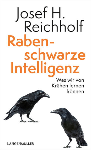 Bild zu Rabenschwarze Intelligenz von Reichholf, Josef H.