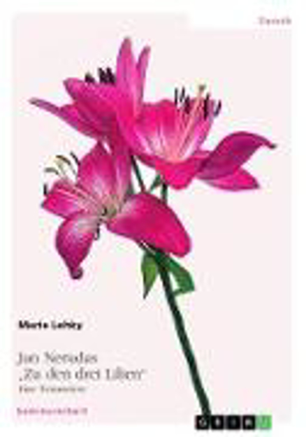 Bild zu Jan Nerudas "Zu den drei Lilien". Eine Textanalyse von Lehky, Marie