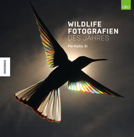 Bild zu Wildlife Fotografien des Jahres - Portfolio 31 von Natural History Museum (Hrsg.) 
