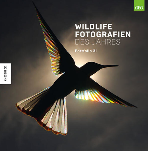 Bild zu Wildlife Fotografien des Jahres - Portfolio 31 von Natural History Museum (Hrsg.) 
