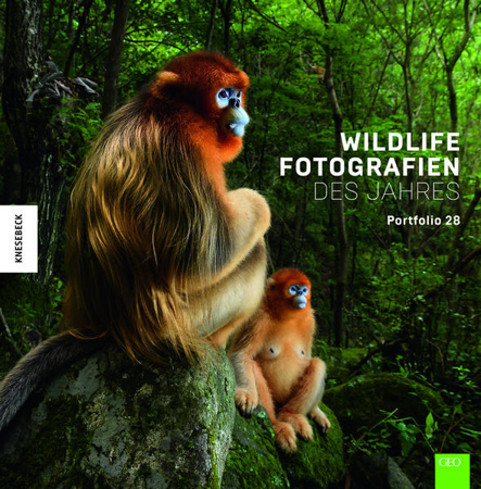 Bild zu Wildlife Fotografien des Jahres - Portfolio 28 von Natural History Museum 