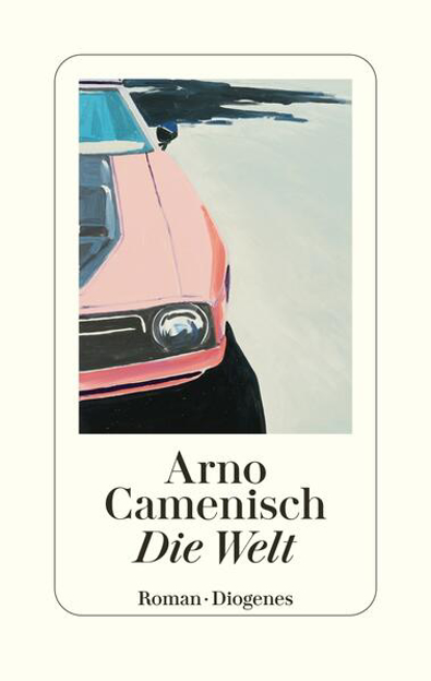 Bild zu Die Welt von Camenisch, Arno