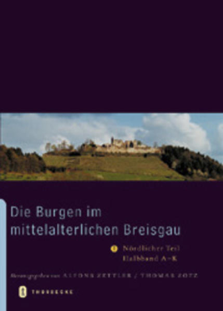 Bild zu Die Burgen im mittelalterlichen Breisgau von Zettler, Alfons (Hrsg.) 