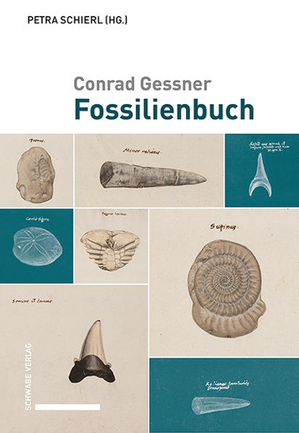 Bild zu Conrad Gessner, Fossilienbuch von Schierl, Petra (Hrsg.)