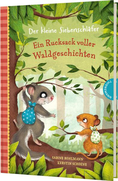 Bild zu Der kleine Siebenschläfer: Ein Rucksack voller Waldgeschichten von Bohlmann, Sabine 
