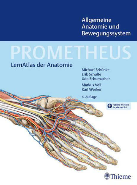 Bild zu PROMETHEUS Allgemeine Anatomie und Bewegungssystem von Schünke, Michael (Hrsg.) 