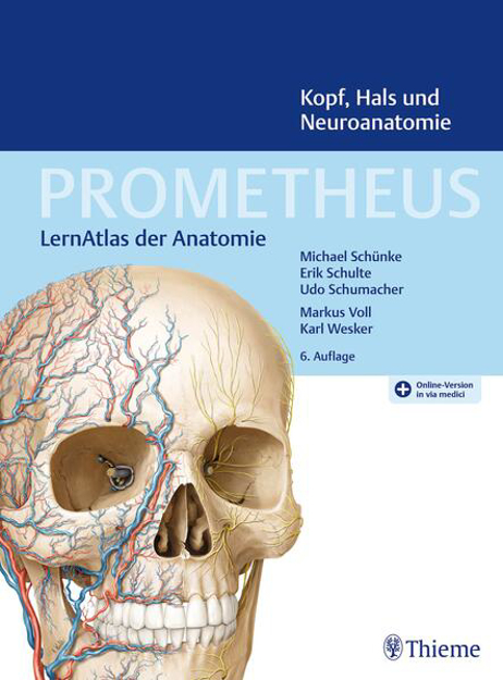 Bild zu PROMETHEUS Kopf, Hals und Neuroanatomie (eBook) von Schünke, Michael 