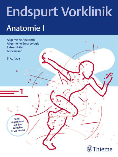 Bild zu Endspurt Vorklinik: Anatomie I (eBook) von Endspurt Vorklinik
