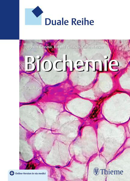 Bild zu Duale Reihe Biochemie (eBook)