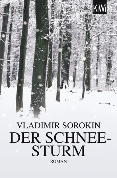 Bild zu Der Schneesturm von Sorokin, Vladimir 