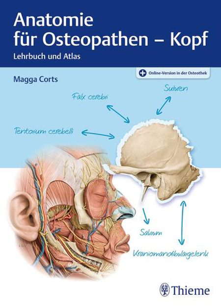 Bild zu Anatomie für Osteopathen - Kopf (eBook) von Corts, Margarethe