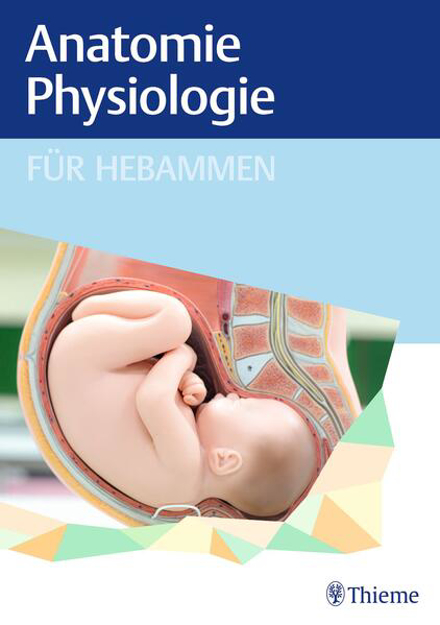 Bild zu Anatomie und Physiologie für Hebammen (eBook)