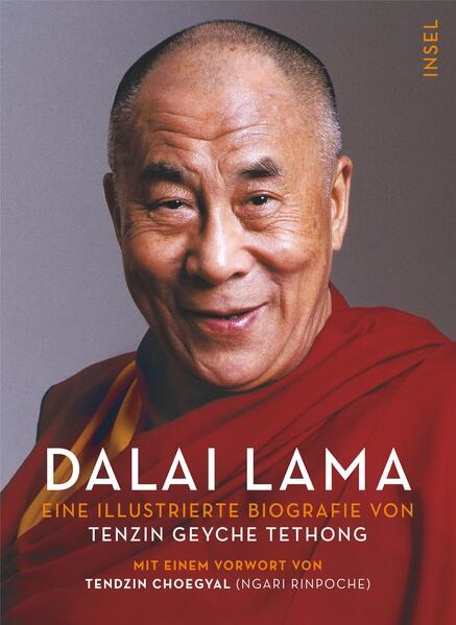 Bild zu Dalai Lama von Tethong, Tenzin Geyche 