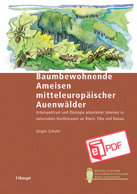 Bild zu Baumbewohnende Ameisen mitteleuropäischer Auenwälder (eBook) von Schuler, Jürgen