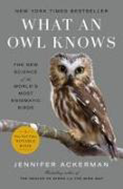 Bild zu What an Owl Knows von Ackerman, Jennifer