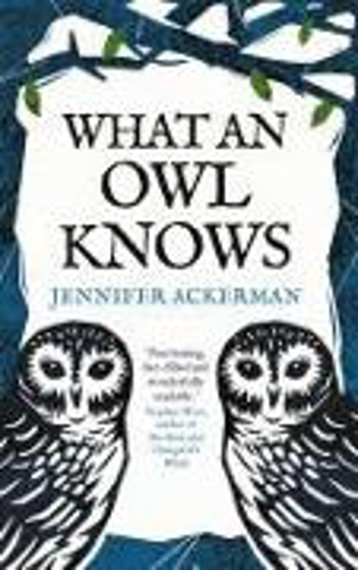 Bild zu What an Owl Knows von Ackerman, Jennifer
