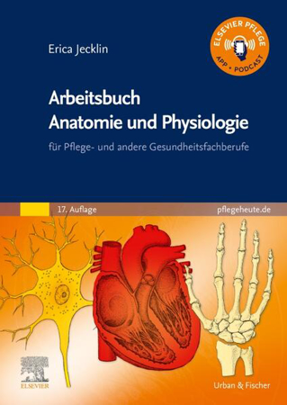 Bild zu Arbeitsbuch Anatomie und Physiologie von Brühlmann-Jecklin, Erica 