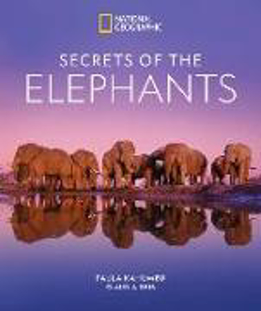 Bild zu Secrets of the Elephants von Kahumbu, Paula 