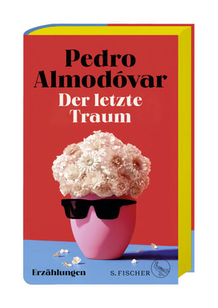 Bild zu Der letzte Traum von Almodóvar, Pedro 