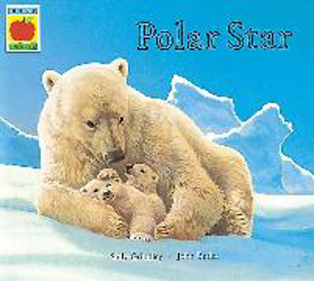 Bild von Polar Star von Grindley, Sally 