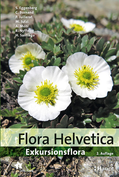 Bild zu Flora Helvetica - Exkursionsflora von Eggenberg, Stefan 
