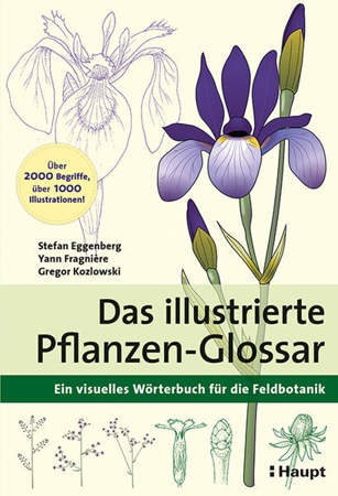 Bild zu Das illustrierte Pflanzen-Glossar von Eggenberg, Stefan 