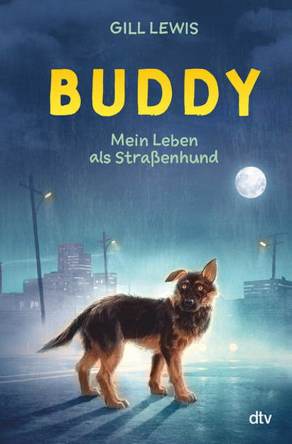 Bild zu Buddy - Mein Leben als Straßenhund von Lewis, Gill 
