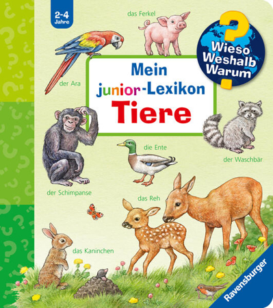 Bild zu Wieso? Weshalb? Warum? Mein junior-Lexikon: Tiere von Möller, Anne (Illustr.)