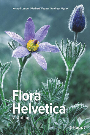 Bild zu Flora Helvetica - Illustrierte Flora der Schweiz von Lauber, Konrad 