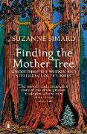 Bild zu Finding the Mother Tree von Simard, Suzanne
